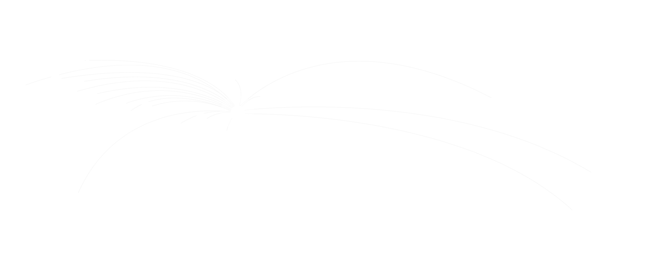 شبكة التوزيع