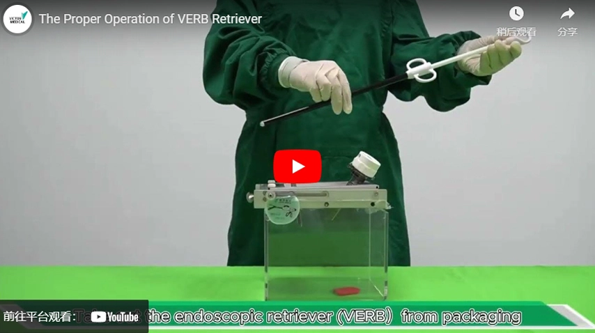 التشغيل السليم لرد الفعل